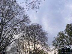 -音乐台