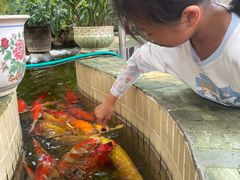 -周大娘牛乳(旧寨古村总店)