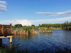 景点-野鸭湖国家湿地公园