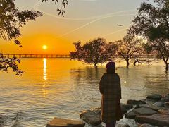 -宝安西湾红树林湿地公园