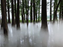 -东湖落雁景区
