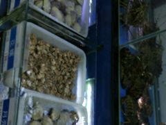 -欢乐海岸美食联盟