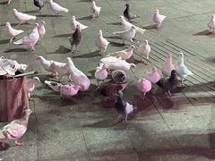 -万达广场(广州番禺店)