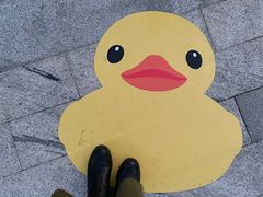 -深圳湾公园(南山区)
