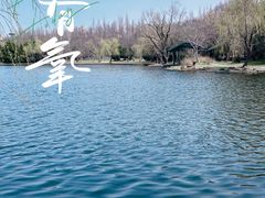 -上海共青森林公园