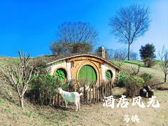 -乌镇景区