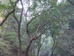 -青龙山风景区