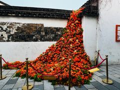 -青果巷历史文化街区