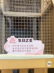 -超级奈尔宝SUPER NEOBIO(杭州星光店)