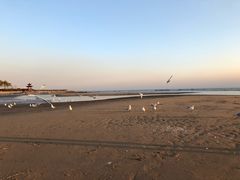 -老虎石海上公园