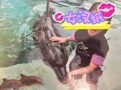 -新加坡水上探险乐园