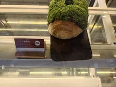 -三亚国光豪生度假酒店-椰语堂清补凉(国光豪生店)