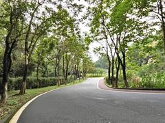 -火炉山森林公园