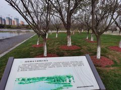 -尚贤河湿地
