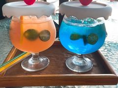 -柴犬高等学院·狗咖·柴犬售卖·宠物训练