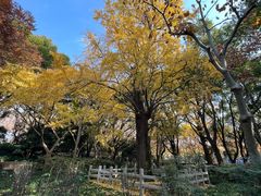 -上海方塔园
