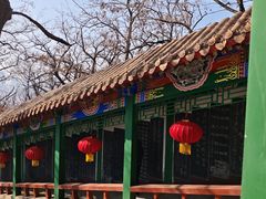 -高尔山公园