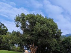 -南京市无想山景区