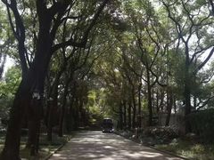 -上海虹桥迎宾馆