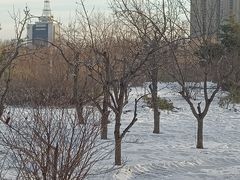 -长春公园(普阳街道)