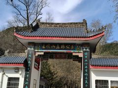 -王顺山国家森林公园