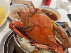 -半岛听涛蒸汽海鲜自助(K11店)