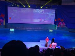 -南昌融创海世界