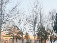 -中国农业博物馆