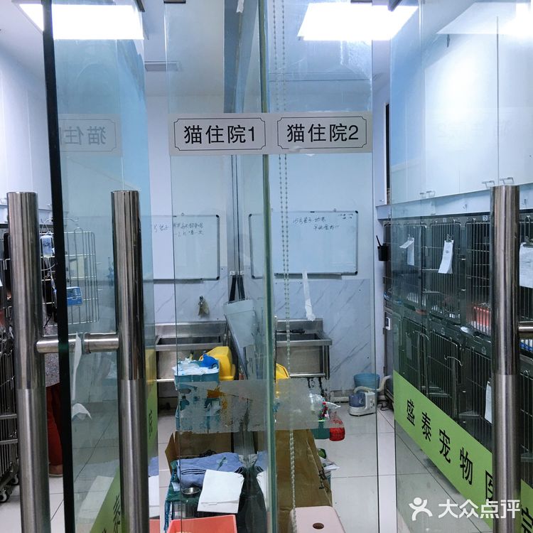 小宝贝要快点恢复健康啊