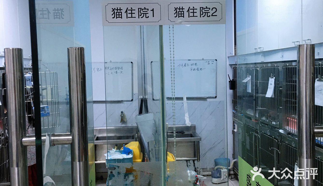 小宝贝要快点恢复健康啊