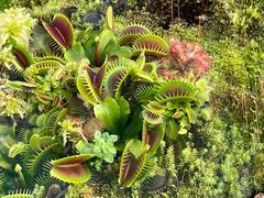 -国家植物园南园