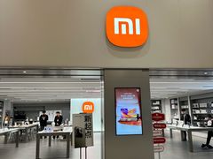 -小米之家(东方宝泰购物中心店)