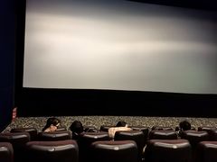 -嘉华国际影城(学清路店)