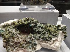 -湖南省地质博物馆