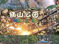 -赭山公园