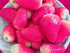 -果蔬好生活超市(乐堤港店)