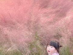 -南通洲际绿博园