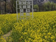 -嵖岈山风景区