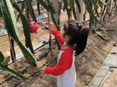 -学知乐教育·幼小衔接·小学科辅导(浦东外高桥森兰中心)
