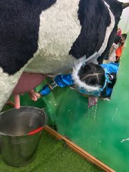 -新方向童乐小镇·儿童主题乐园·职业角色扮演(南昌店)