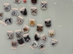 -四月宠物医院·猫专科·心脏专科·内科(转塘店)