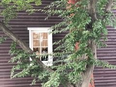 -三鹰之森吉卜力美术馆