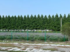 -嘉北郊野公园