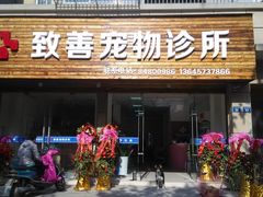 -致善宠物医院(体育路店)