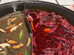 -朱光玉火锅馆(正弘城店)