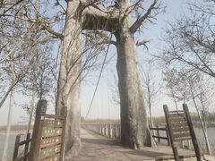 -西青郊野公园