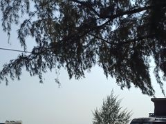 -万尾金滩