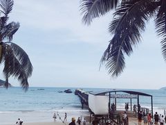 -亚马逊丛林水乐园