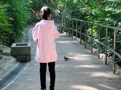 -九龙公园