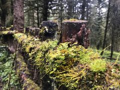 -硗碛藏寨·神木垒景区